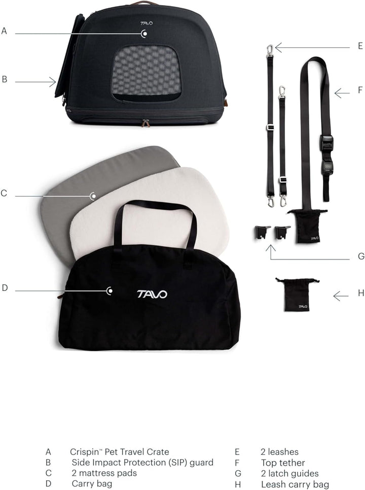 Tavo Crispin Haustier-Transportbox Medium – Crash-getestete Auto-Transportbox für Hunde & Katzen, IS
