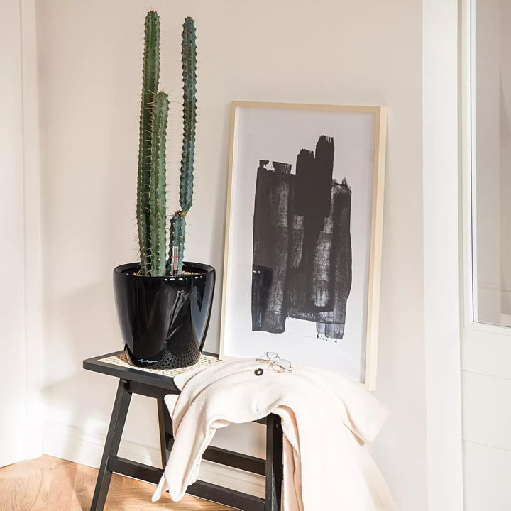 LECHUZA CLASSICO Premium LS 28 schwarz hochglanz 16049 28.5x28.5x26 cm Schwarz Hochglanz Einzel, 28.