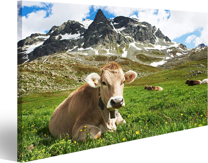 islandburner Bild auf Leinwand Milck Kuh Mit Beweidung Auf Schweiz Alpine Berge Grünem Gras Weide Üb