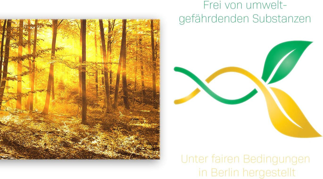 ge Bildet Bild auf Leinwand | Landschaftsbilder - beautiful morning in the forest G in 100x40 cm als