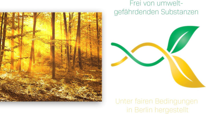 ge Bildet Bild auf Leinwand | Landschaftsbilder - beautiful morning in the forest G in 100x40 cm als
