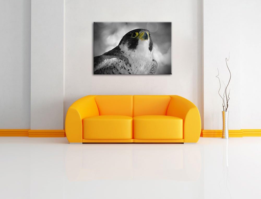 schöner anmutiger Adler schwarz/weiss auf Leinwand, XXL riesige Bilder fertig gerahmt mit Keilrahmen