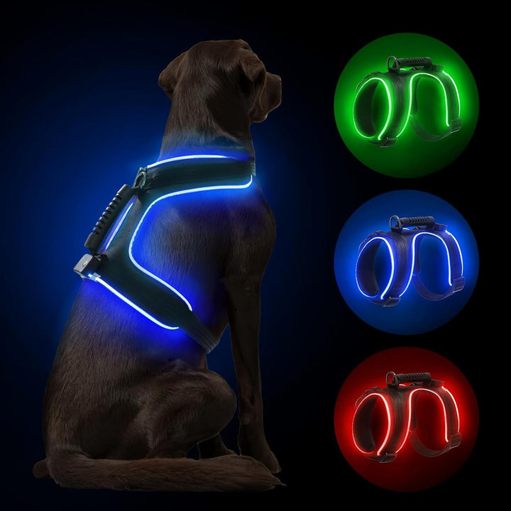 MASBRILL LED Hundegeschirr Leuchtend, Leuchtgeschirr für Hunde Aufladbar Verstellbar LED Leucht Brus