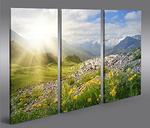 islandburner Bild Bilder auf Leinwand Bergwiese V2 Alpen Landschaft Berge Sonne 3p XXL Poster Leinwa