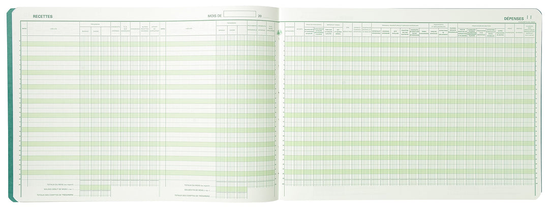 EXACOMPTA Geschäftsbuch "Recettes/Dépenses professions libé-
