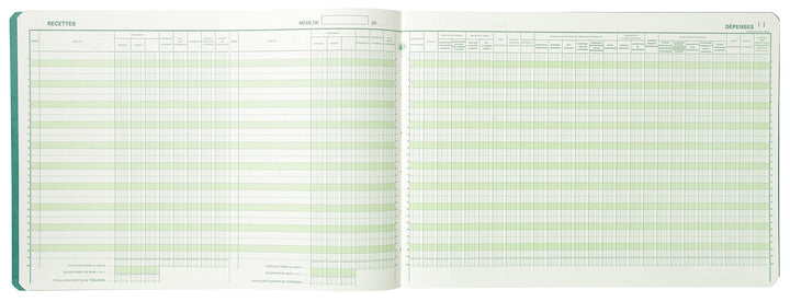 EXACOMPTA Geschäftsbuch "Recettes/Dépenses professions libé-