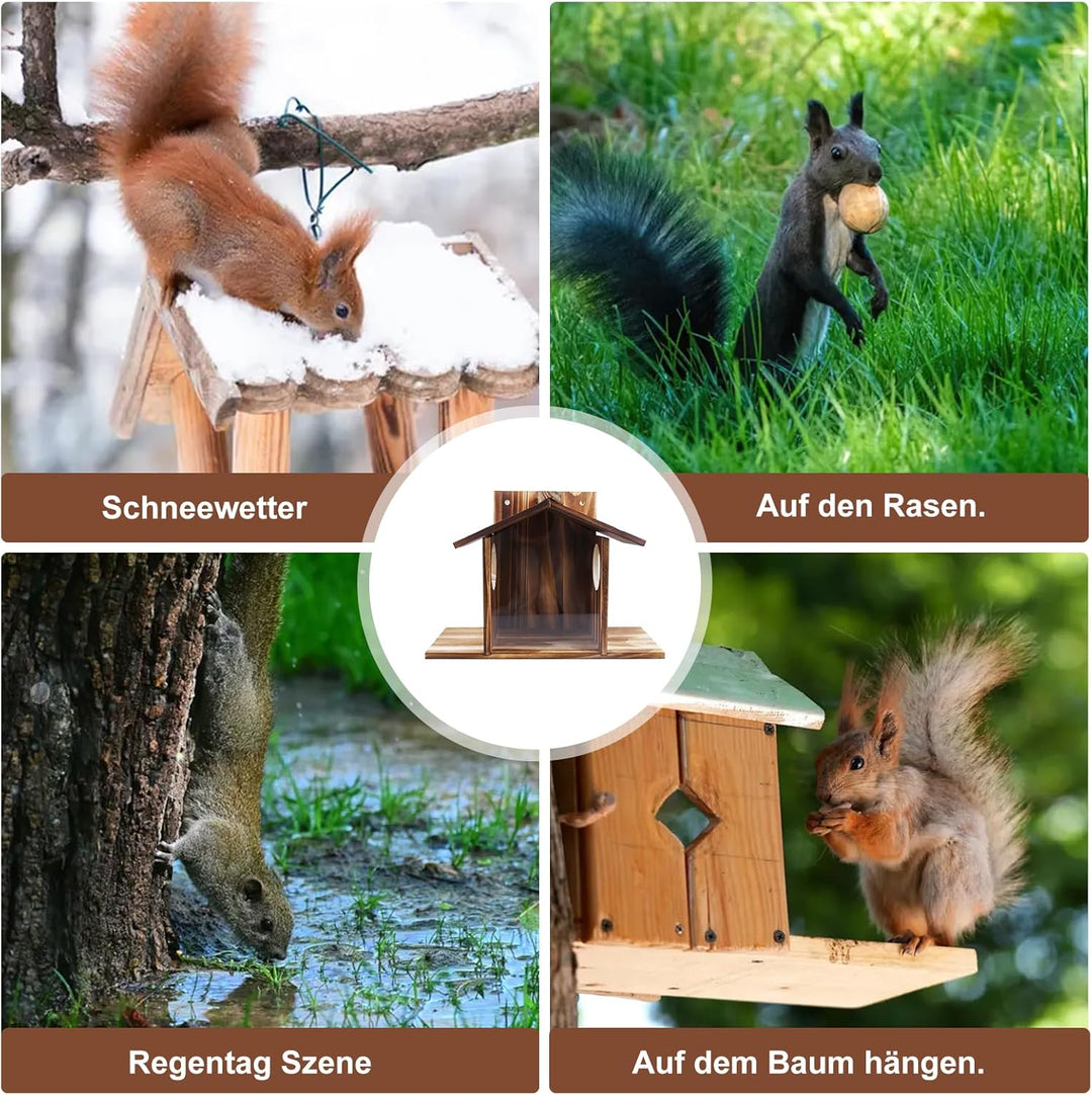 Eichhörnchen Futterhaus Wetterfest aus Holz – Robust Eichhörnchen Haus mit Leinöl-Beschichtung, Belü