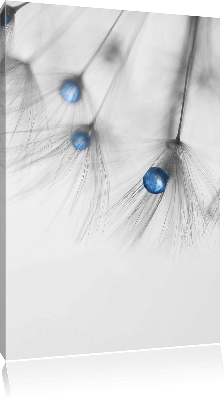 Pixxprint Pusteblumensamen mit Wassertropfen als Leinwandbild/Grösse: 100x70 cm/Wandbild/Kunstdruck/