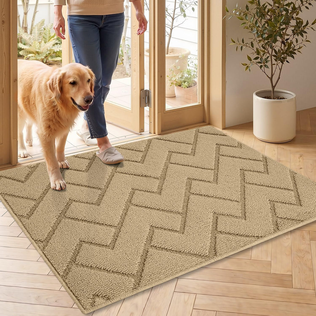 Biscpro Fussmatte Innen Aussen Waschbar eingangsteppich 60 x 90 cm innen Schmutzfangmatte rutschfest