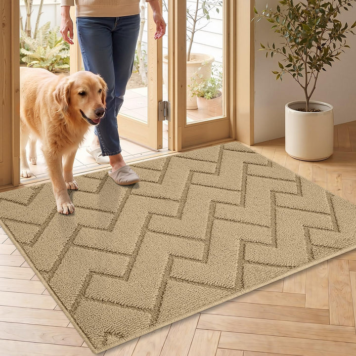 Biscpro Fussmatte Innen Aussen Waschbar eingangsteppich 60 x 90 cm innen Schmutzfangmatte rutschfest