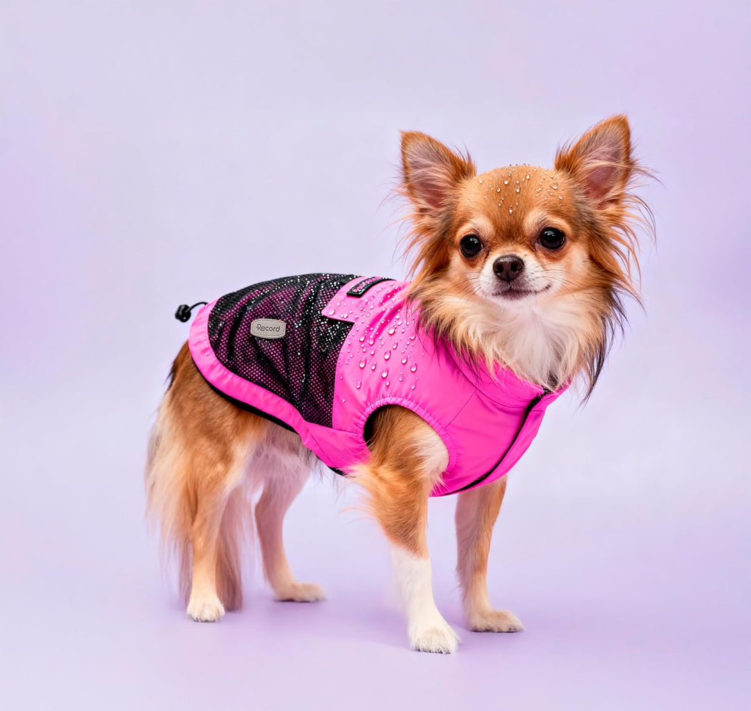 Record - Winddichter Regenmantel für Hunde, bequem, mit Gummibändern für Pfoten und verstellbarem Ha