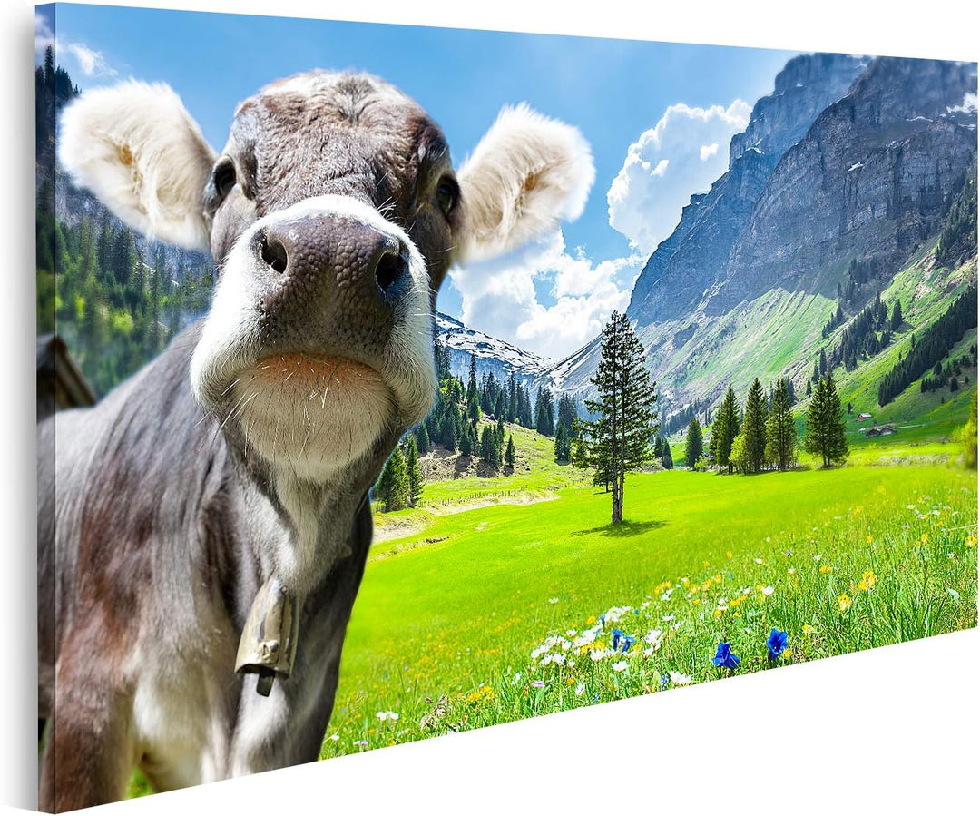 islandburner Bild auf Leinwand Kuh In Den Schweizer Alpen Bilder Wandbilder Poster Leinwand 100x57cm