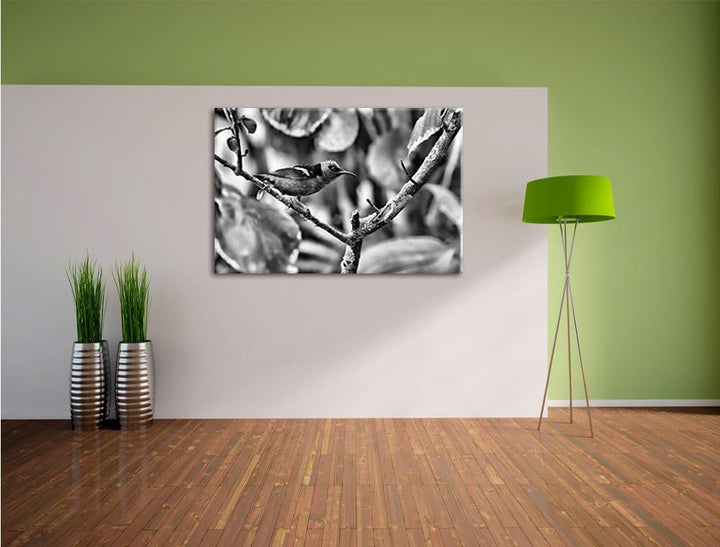 Pixxprint Monocrome, Kleiner Türkisnaschvogel auf AST, Format: 100x70 auf Leinwand, XXL riesige Bild
