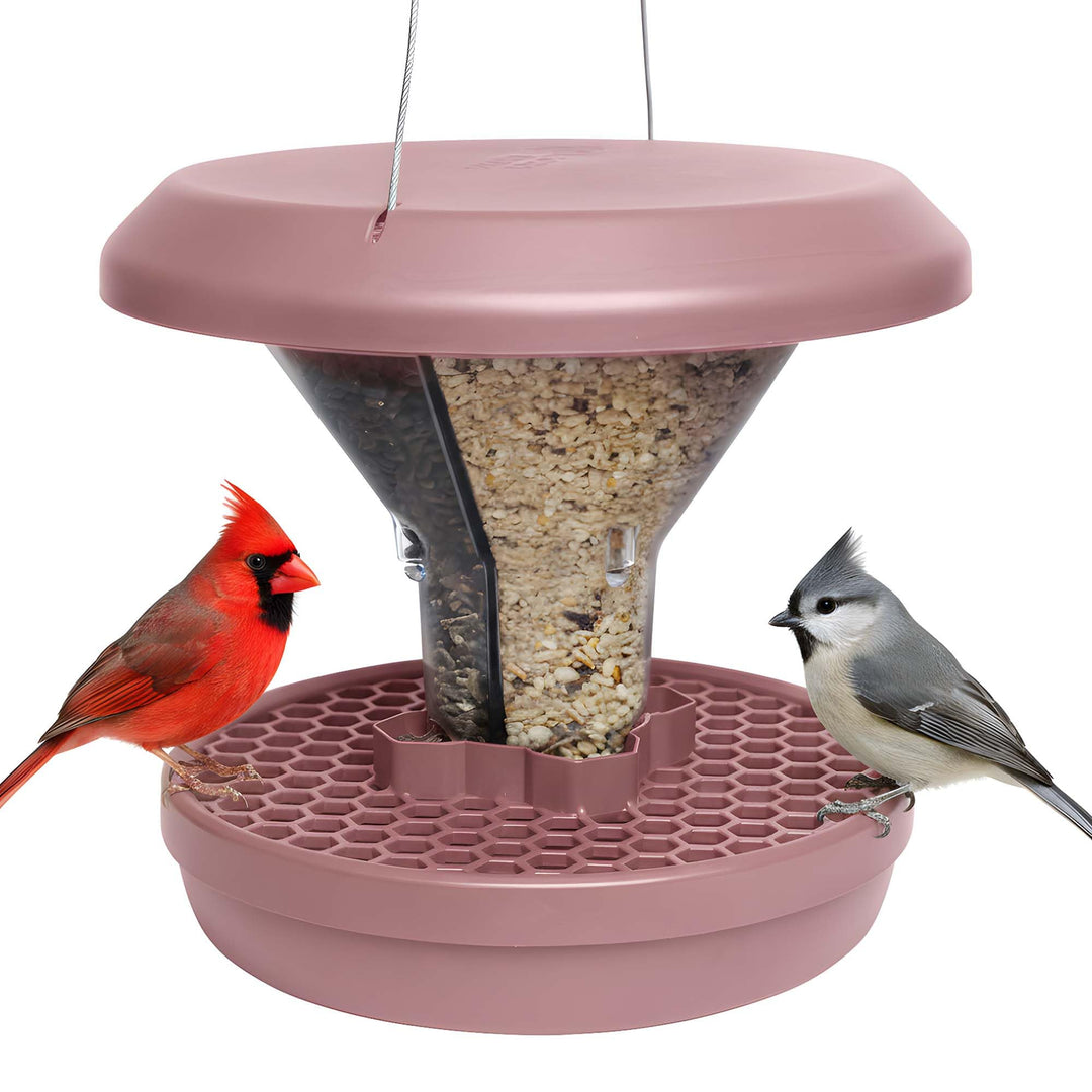 SWISSINNO Vogelfutterhaus zum Aufhängen – Davos SMART Birds - Vogelfutterspender mit Auffangschale -