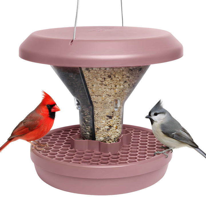 SWISSINNO Vogelfutterhaus zum Aufhängen – Davos SMART Birds - Vogelfutterspender mit Auffangschale -