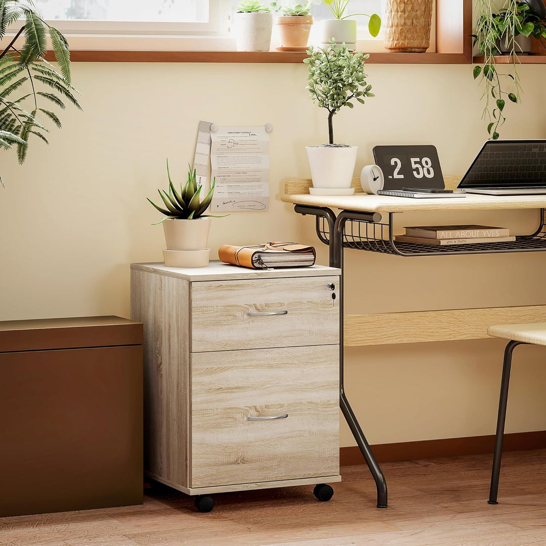 HOMCOM Abschliessbarer Aktenschrank mit 2 Schubladen, mobiler Aktenschrank für Home Office, kleiner