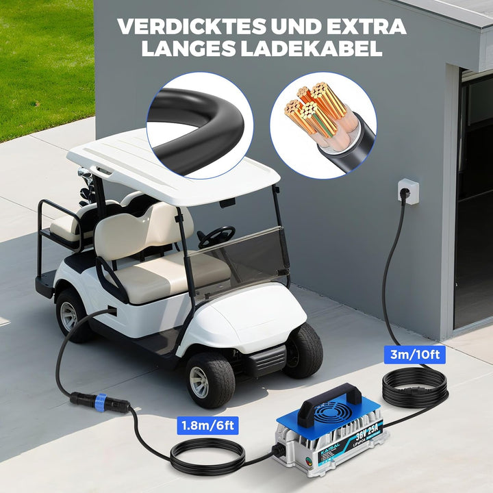 KAISAL 43.8V 25A LiFePO4 Ladegerät für 36V (38.4V) LiFePO4 Lithium-Eisenphosphat-Batterien, 36V Lith