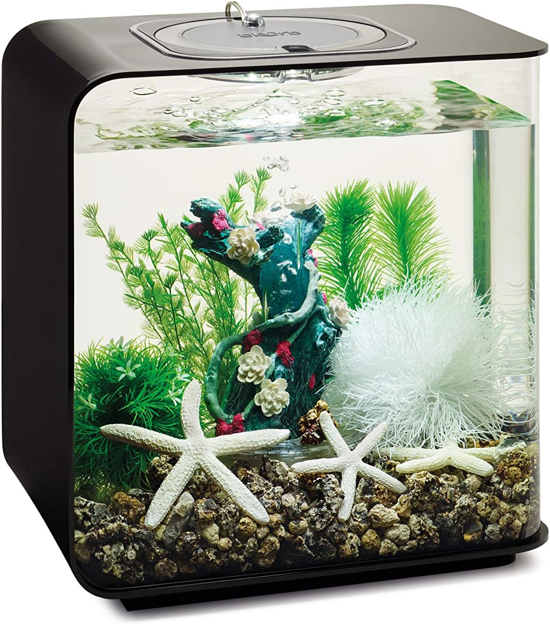 biOrb 48443 Decor Set 15L Flower Garden Flower Garden 15 Liter, Flower Garden 15 Liter