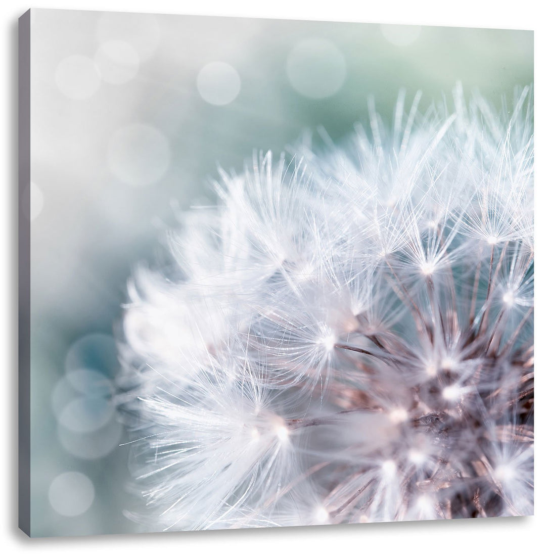 Pixxprint Zauberhafte Pusteblume als Leinwandbild/Grösse: 70x70 cm/Wandbild/Kunstdruck/fertig bespan