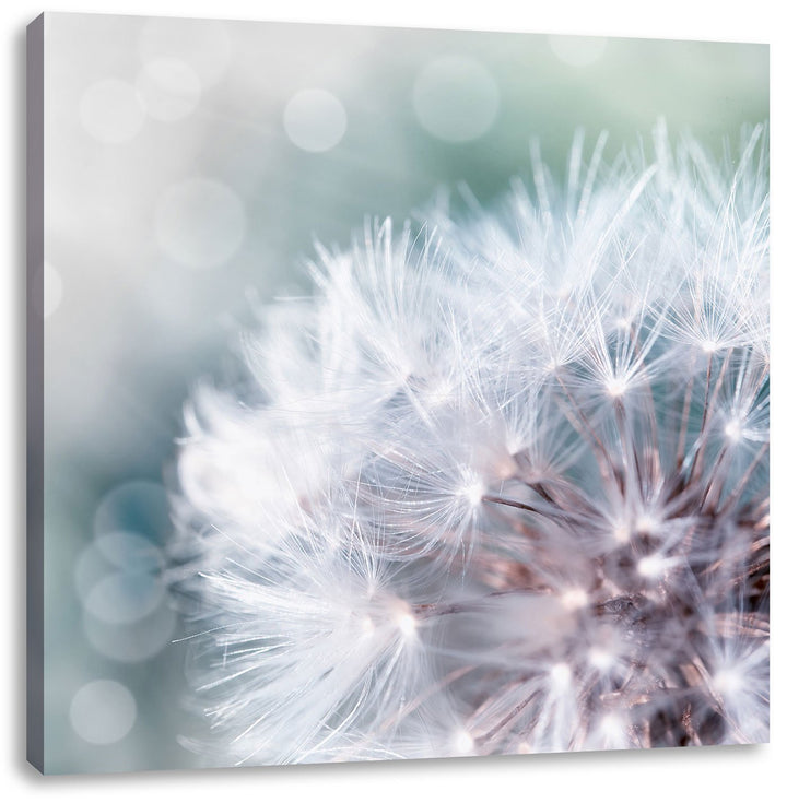 Pixxprint Zauberhafte Pusteblume als Leinwandbild/Grösse: 70x70 cm/Wandbild/Kunstdruck/fertig bespan