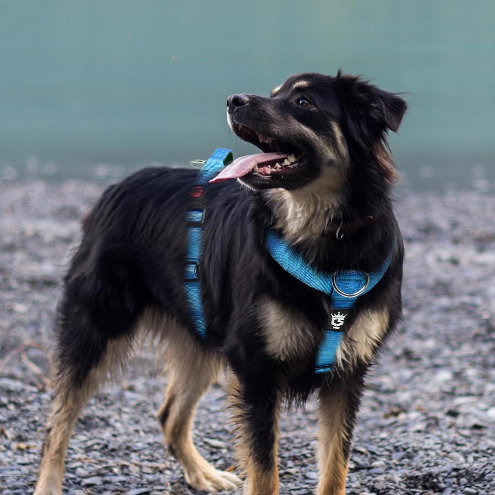TSPRO Taktisches No-Pull Schwerlast-Hundegeschirr mit Griff & Schnellöffnungsverschluss, Stabil Adju