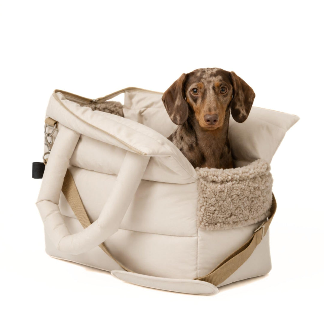 Hundetragetasche SARA | stilvolle Hundetragetasche für kleine Hunde | Wind- & wasserabweisend | Tedd