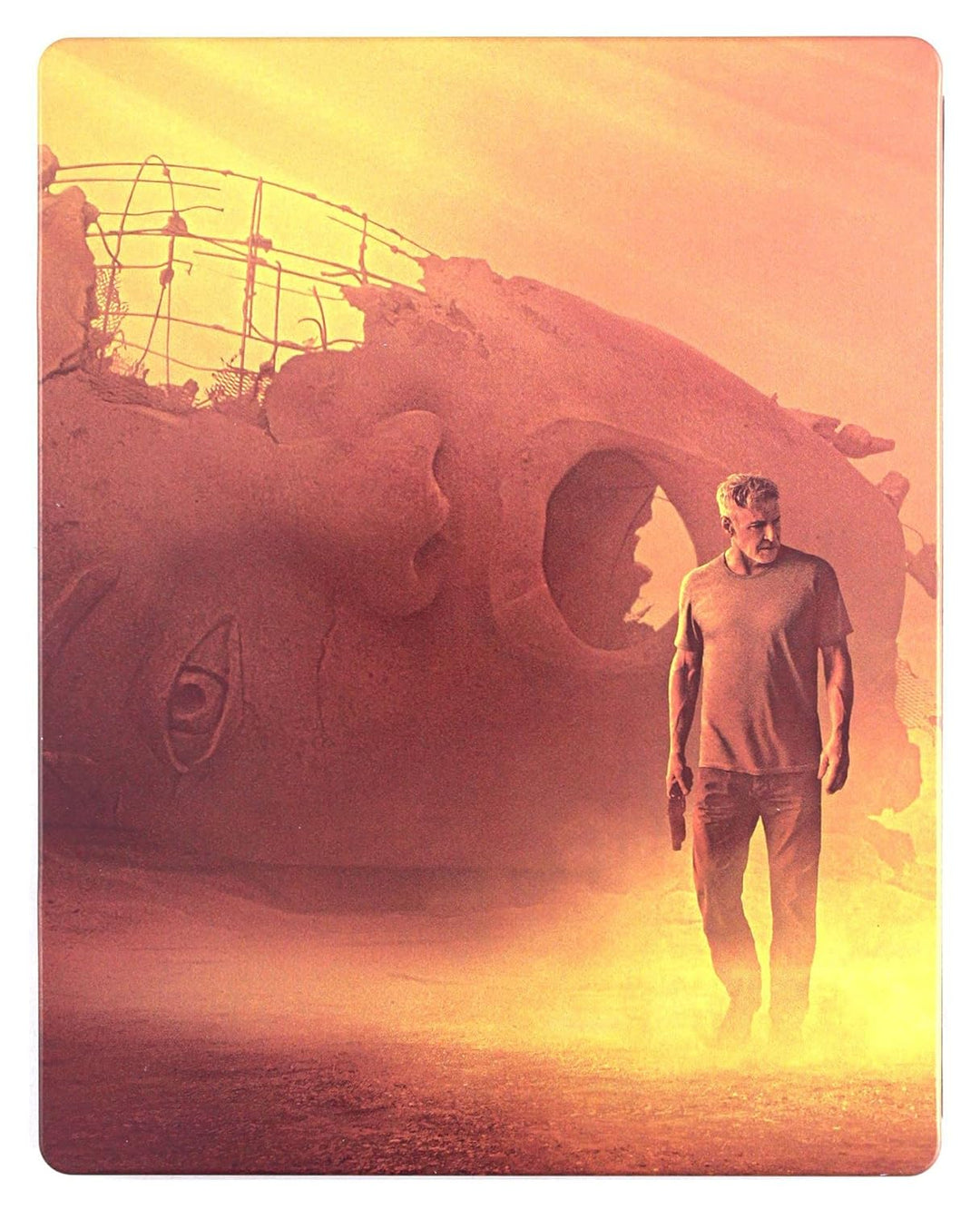 Blade Runner 2049 Steelbook [Blu-Ray] [Region Free] (IMPORT) (Keine deutsche Version), Blu-ray