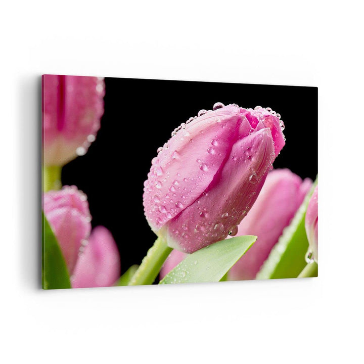 Bilder auf Leinwand 100x70cm Leinwandbild mit Rahmen Tulpe Blumen Tau Gross Wanddeko Bild Schlafzimm