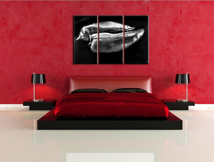 Pixxprint Dark Zwei Chilischoten als Leinwandbild/Grösse: 3 Teilig (120x80) cm/Wandbild/Kunstdruck/f