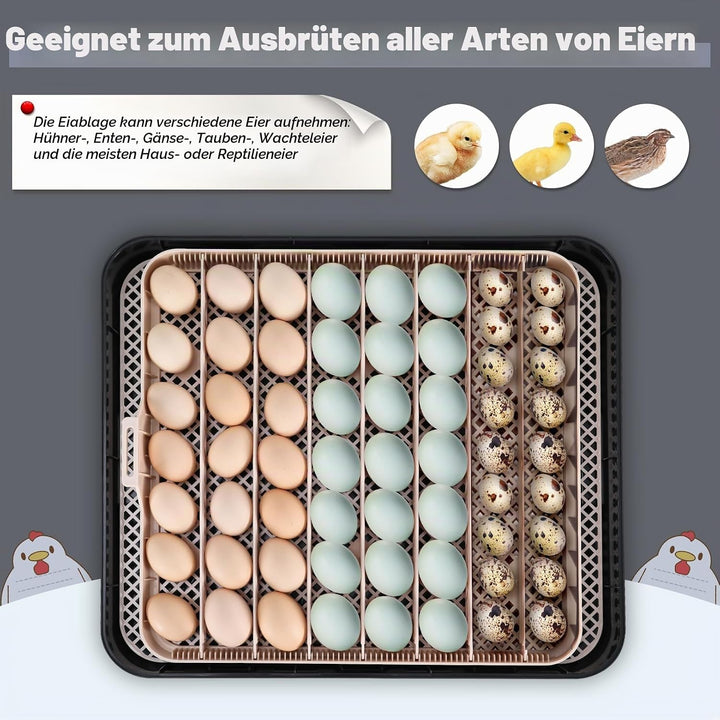 Sailnovo Brutautomat Vollautomatisch Eierinkubator , Brutmaschine für 56 Eier mit Automatischem Wend