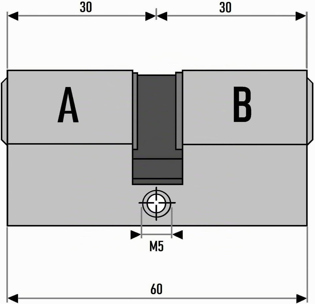 2x Profilzylinder 60mm 30/30 10x Schlüssel Tür Zylinderschloss gleichschliessend