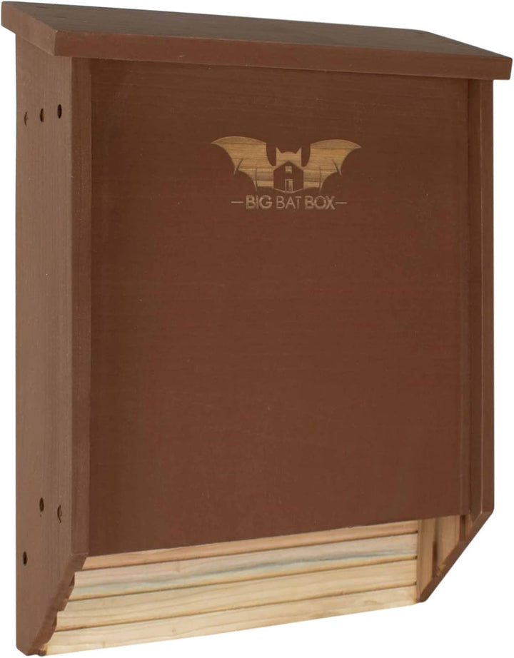 Big Bat Box Fledermaushaus aus Zedernholz, 2 Kammer braun Zweikammer