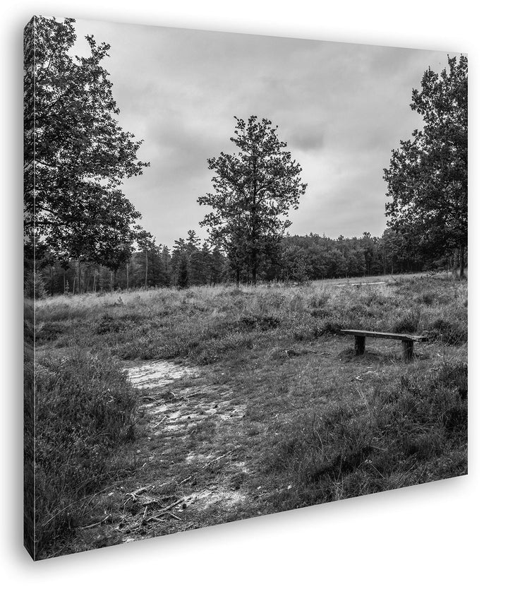 deyoli einsame Bank im Wald Format: 60x60 Effekt: Schwarz&amp;Weiss als Leinwandbild, Motiv fertig gerah