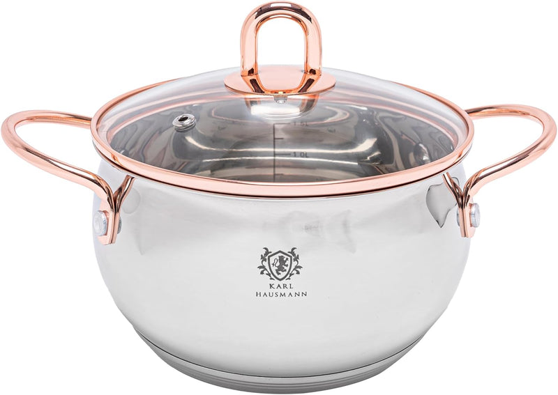 Topfset Induktion 3-teilig, Kochtopf Set mit Glasdeckel, Edelstahl mattiert, Induktions Töpfe Set un