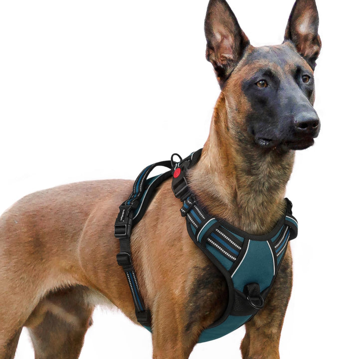 rabbitgoo Hundegeschirr Grosse Hunde, Verstellbare Geschirr Hund ohne Zug &amp; Würgen, Anti Zug hundege