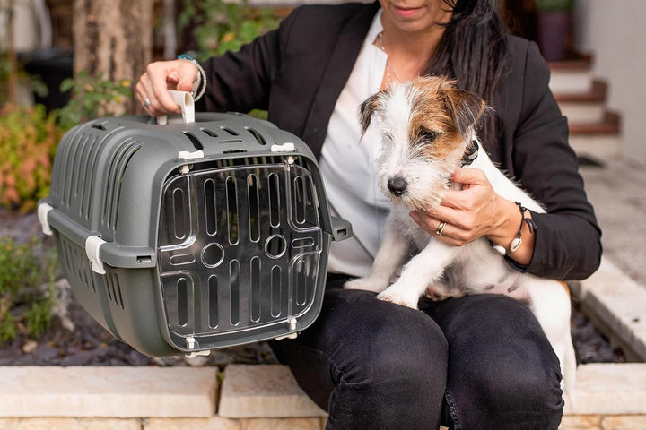 Ferplast Transportbox katze, Hundetransportbox Kleine Hunde und Katzen bis 5 kg, transparente Tür, L