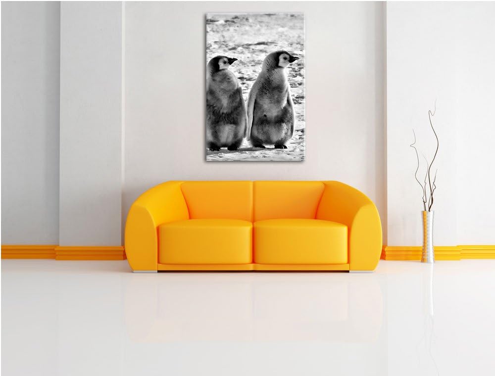 Pixxprint Kaiserpinguin-Küken/Format: 100x70cm / Leinwandbild fertig bespannt Wandbild Kunstdruck, 1