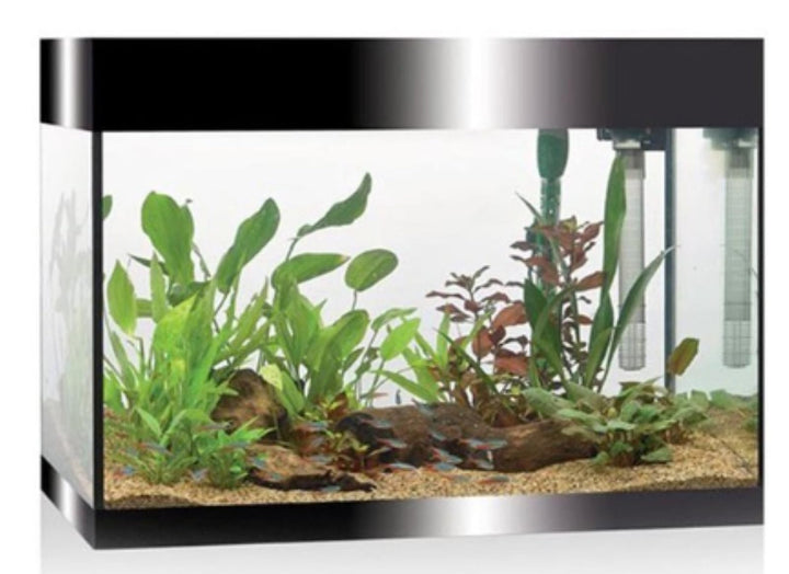 Askoll Aa350050 Pure Acquarium Kit schwarz LED 68 Liter - Filter - Heizung - Timer LED Beleuchtung,