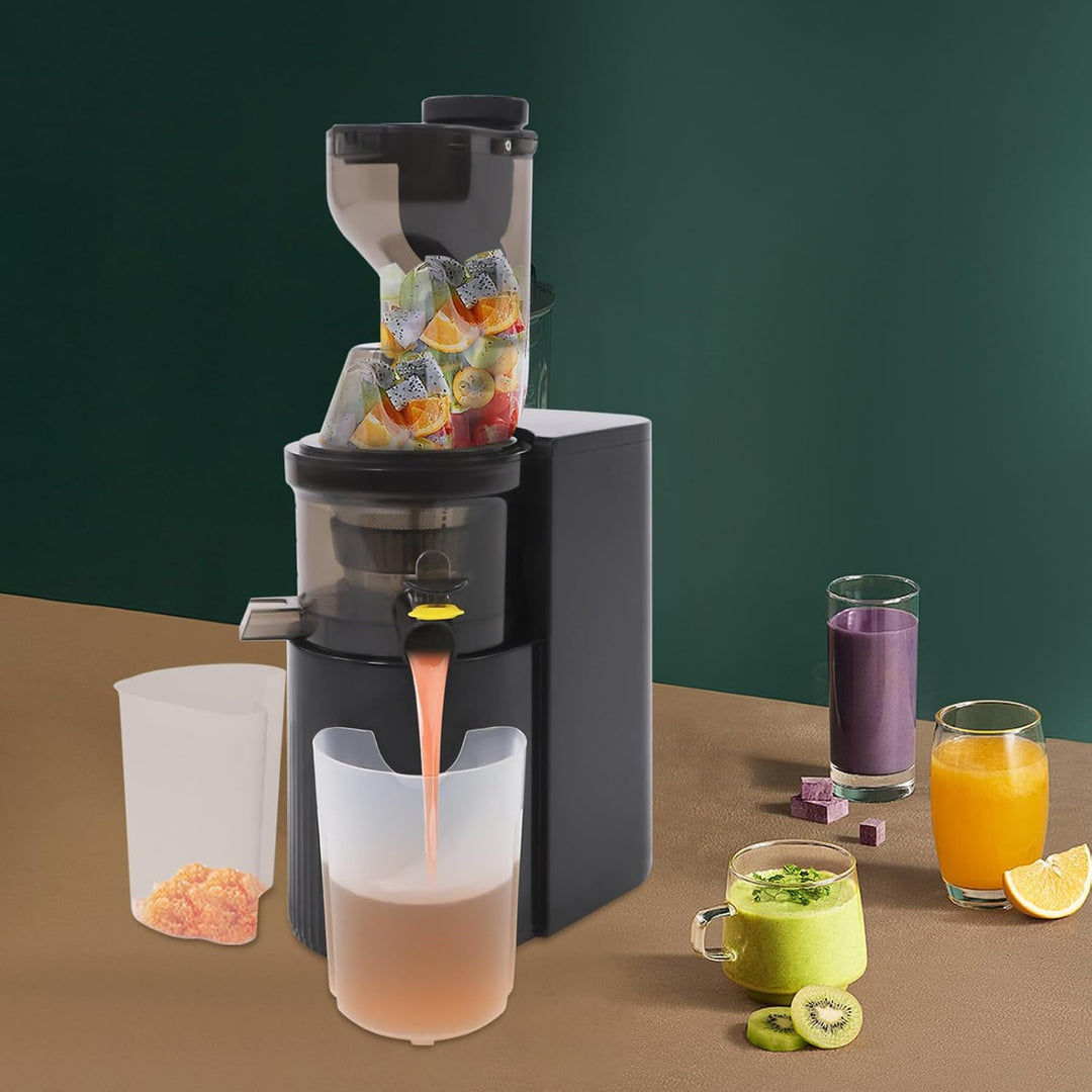 Langsamer Entsafter Slow Juicer 48 Umin Gemuese Obst