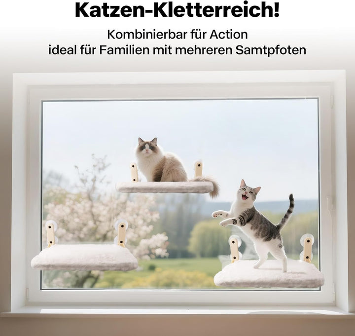 Pet Prime Katzen Fensterliege – 85mm Saugnäpfe & 20kg Tragkraft, Edelstahl-Gestell, 2 Abnehmbare Bez