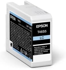 Epson SureColor SC-P700 Fotodrucker für Foto- & Kunstdrucke (Drucke bis DIN A3+, integrierte Rollenp