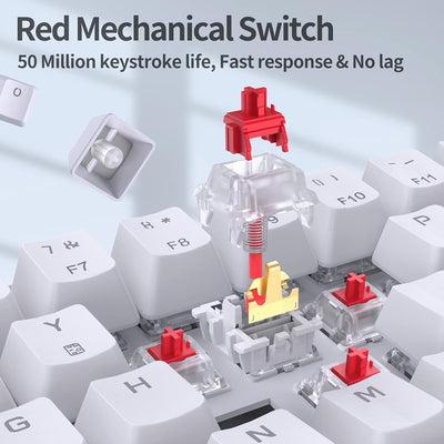TMKB Mechanische Gaming Tastatur, T68se 60% Prozent Tastatur mit USB Kabel, Anti Ghosting QWERTY Lay