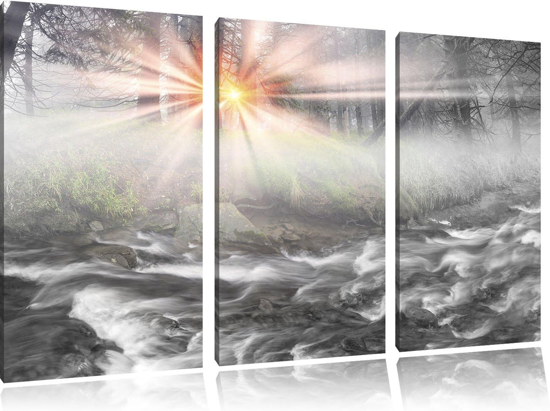 Pixxprint Nebeldickicht im Wald als Leinwandbild/Grösse: 3 Teilig (120x80) cm/Wandbild/Kunstdruck/fe