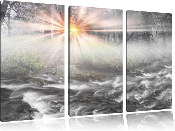 Pixxprint Nebeldickicht im Wald als Leinwandbild/Grösse: 3 Teilig (120x80) cm/Wandbild/Kunstdruck/fe