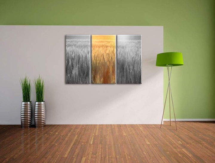 Romantisches Getreidefeld bei Sonnenuntergang schwarz/weiss 3-Teiler Leinwandbild 120x80 Bild auf Le