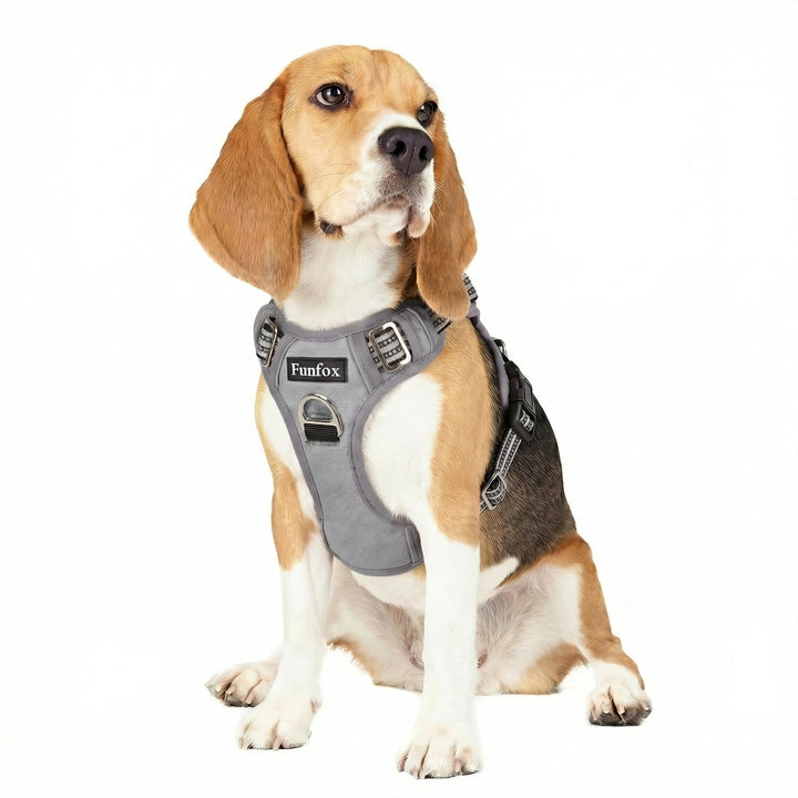 Funfox Hundegeschirr Mittelgrosse Hunde [M] - Verstellbares Anti-Zug Brustgeschirr mit Griff & Refle