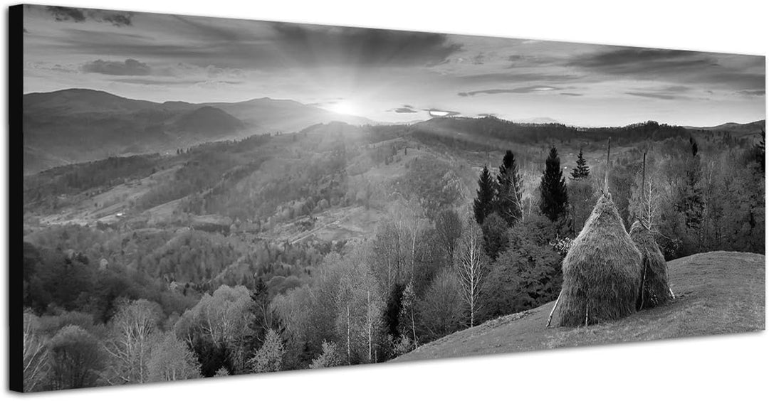 Paul Sinus Art Leinwandfoto als Panorama SCHWARZ/Weiss 120x40cm Wald Berge Wiese Herbst Sonnenunterg