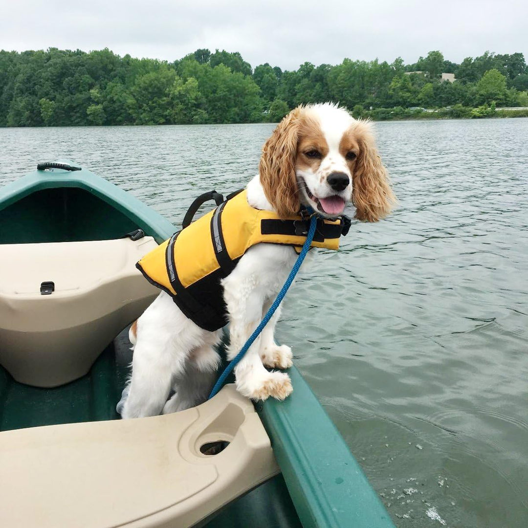 VIVAGLORY Rip Stop Schwimmweste Hund, Hundeschwimmweste, Schwimmhilfe & Auftrieb, Rettungsweste Hund