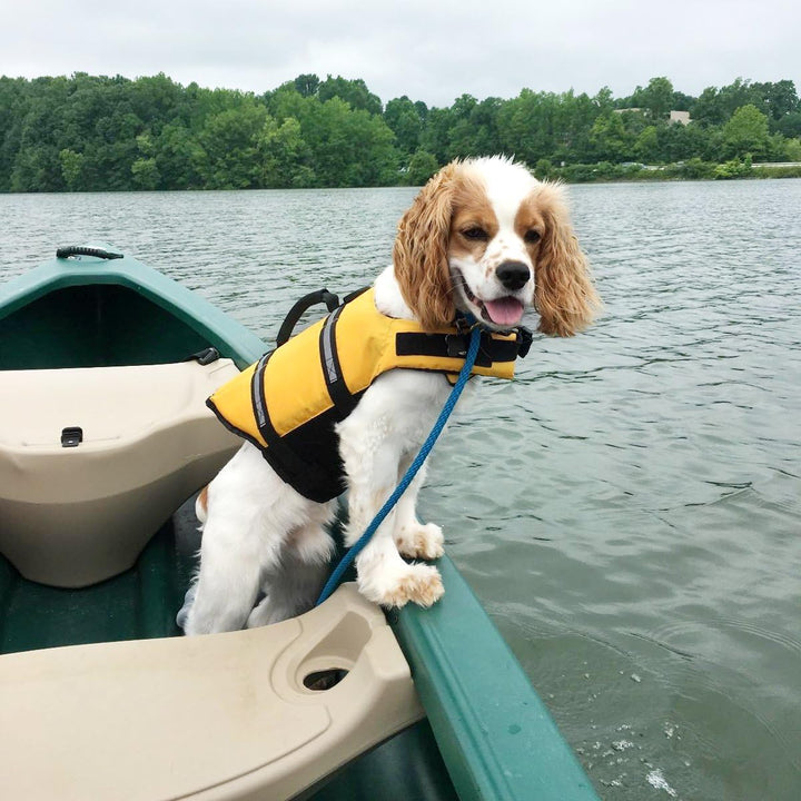 VIVAGLORY Rip Stop Schwimmweste Hund, Hundeschwimmweste, Schwimmhilfe & Auftrieb, Rettungsweste Hund