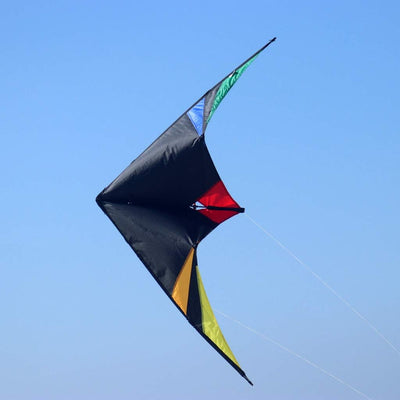 Wolkenstürmer Skydart Lenkdrachen mit Glasfaser-Gestänge, schwarz - Kite für Einsteiger und Fortgesc